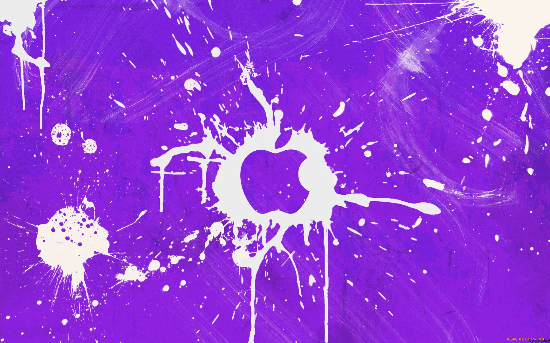 , apple